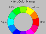 color_circle.svg.png